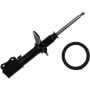Autopart International Strut Assembly 2701424871