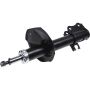 Autopart International Strut Assembly 2701424872