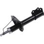 Autopart International Strut Assembly 2701424873