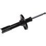 Autopart International Strut Assembly 2701424874