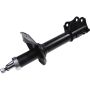 Autopart International Strut Assembly 2701424875