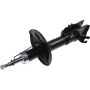 Autopart International Strut Assembly 2701424876