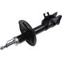 Autopart International Strut Assembly 2701424878