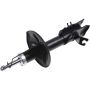 Autopart International Strut Assembly 2701424879