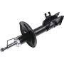 Autopart International Strut Assembly 2701424880