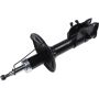 Autopart International Strut Assembly 2701424882