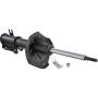 Autopart International Strut Assembly 2701425028
