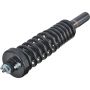 Autopart International Strut/Coil Spring Assy 2701425231