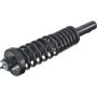 Autopart International Strut/Coil Spring Assy 2701425232