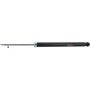 Autopart International Shock Absorber 2701460062
