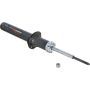 Autopart International Strut Assembly 2701460091