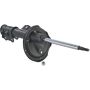 Autopart International Strut Assembly 2701460093