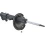 Autopart International Strut Assembly 2701460094
