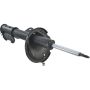 Autopart International Strut Assembly 2701460095