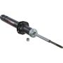 Autopart International Strut Assembly 2701460096