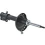 Autopart International Strut Assembly 2701460099