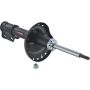 Autopart International Strut Assembly 2701460101