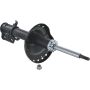 Autopart International Strut Assembly 2701460102