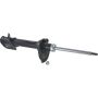 Autopart International Strut Assembly 2701460103