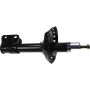 Autopart International Strut Assembly 2701460106