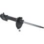 Autopart International Strut Assembly 2701460107