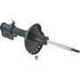 Autopart International Strut Assembly 2701460111