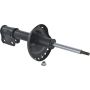 Autopart International Strut Assembly 2701460112