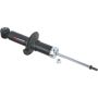 Autopart International Strut Assembly 2701460117