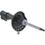Autopart International Strut Assembly 2701460118