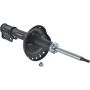 Autopart International Strut Assembly 2701460121
