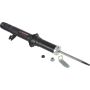 Autopart International Strut Assembly 2701460145