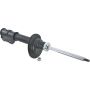Autopart International Strut Assembly 2701460150