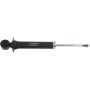 Autopart International Strut Assembly 2701460155