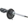 Autopart International Strut Assembly 2701460158