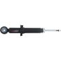 Autopart International Strut Assembly 2701460181