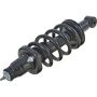 Autopart International Strut/Coil Spring Assy 2701480167