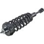 Autopart International Strut/Coil Spring Assy 2701480175