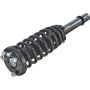 Autopart International Strut/Coil Spring Assy 2701480312
