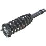 Autopart International Strut/Coil Spring Assy 2701480313