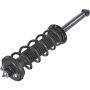 Autopart International Strut/Coil Spring Assy 2701480314