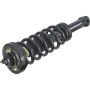 Autopart International Strut/Coil Spring Assy 2701499610