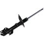 Autopart International Strut Assembly 2701501856