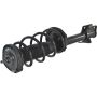 Autopart International Strut/Coil Spring Assy 2701501877