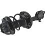 Autopart International Strut/Coil Spring Assy 2701501884