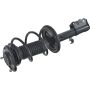 Autopart International Strut/Coil Spring Assy 2701502743