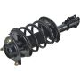 Autopart International Strut/Coil Spring Assy 2701502748