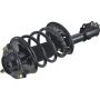 Autopart International Strut/Coil Spring Assy 2701502749