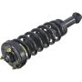 Autopart International Strut/Coil Spring Assy 2701502763