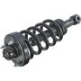 Autopart International Strut/Coil Spring Assy 2701502764