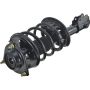 Autopart International Strut/Coil Spring Assy 2701502765